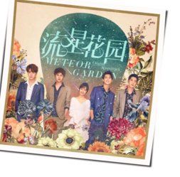 Meteor Garden - The Love You Want Night Version Chords by Soundtracks