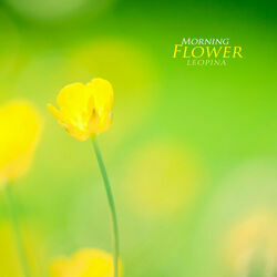Samsung - Morning Flower Ukulele by Soundtracks