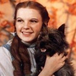 The Wizard Of Oz - Somewhere Over The Rainbow by Soundtracks