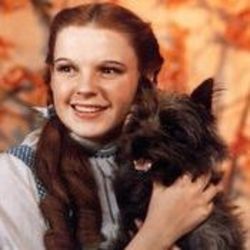 The Wizard Of Oz - Somewhere Over The Rainbow Tab by Soundtracks