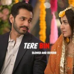 Tere Bin Theme Song - Kya Hoti Hai Bewafai Chords by TV Soundtracks 📺