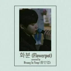 True Beauty - Flowerpot Chords by TV Soundtracks 📺