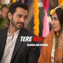 Tere Bin Theme Song - Kya Hoti Hai Bewafai Chords by TV Soundtracks 📺