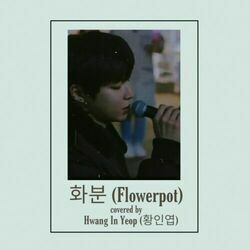 True Beauty - Flowerpot Chords by Television Music