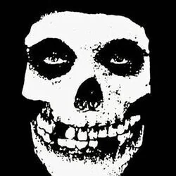 Skulls Chords by The Misfits