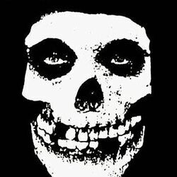 Skulls by The Misfits