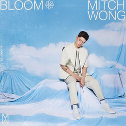 Marvelous Chords by Mitch Wong