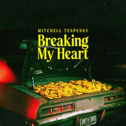 Breaking My Heart Chords by Mitchell Tenpenny