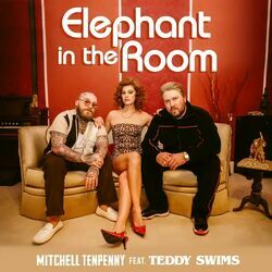 Elephant In The Room by Mitchell Tenpenny