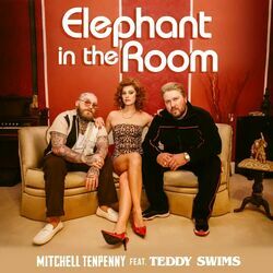 Elephant In The Room Chords by Mitchell Tenpenny