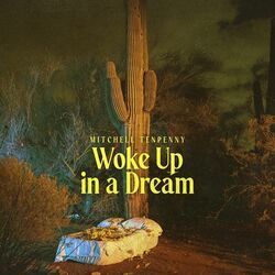 Woke Up In A Dream Chords by Mitchell Tenpenny