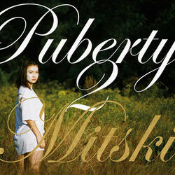 Fireworks Ukulele Chords by Mitski