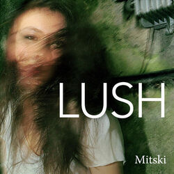 Liquid Smooth  Chords by Mitski