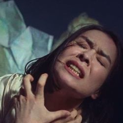 Stay Soft Chords by Mitski