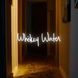 Whiskey Water Chords by Mobina Galore