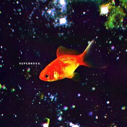 Canzoni Per La Notte Chords by Mobrici