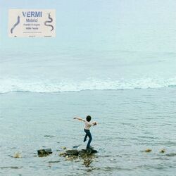 Vermi Chords by Mobrici