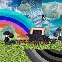 Fuck Your Acid Trip Intro by Modest Mouse