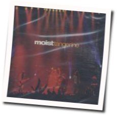 Tangerine Tabs by Moist
