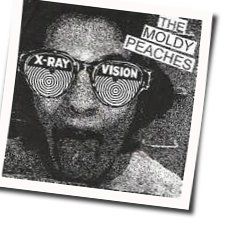 I Forgot Chords by The Moldy Peaches