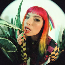 Marco Polo Chords by Molly Moore