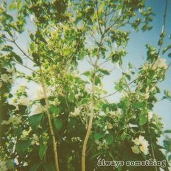 Maria Chords by Molokai