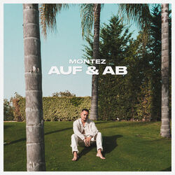 Auf Und Ab Intro by Montez