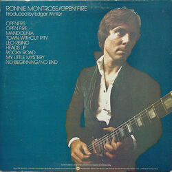 Mandolinia by Ronnie Montrose