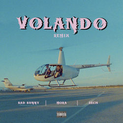 Volando - Remix by Mora