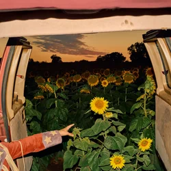 Dandelion Chords by Kevin Morby