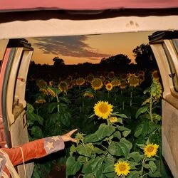 Die Young Chords by Kevin Morby