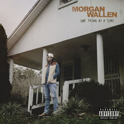 Born With A Beer In My Hand by Morgan Wallen