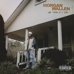 Everything I Love by Morgan Wallen