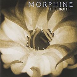 The Night Bass Tab by Morphine