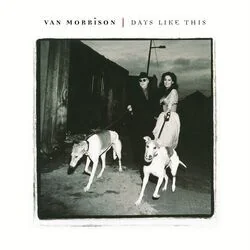 Perfect Fit Chords by Van Morrison