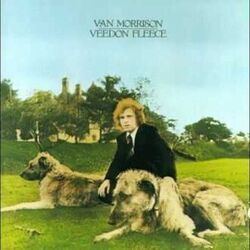 Bulbs Bass tabs by Van Morrison