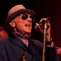 Down To Joy Intro by Van Morrison