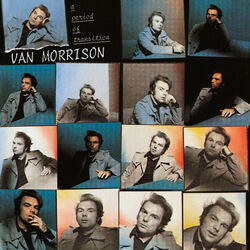 Flamingos Fly Chords by Van Morrison