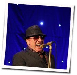 Moonshine Whiskey Chords by Van Morrison