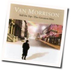 Northern Muse Solid Ground by Van Morrison