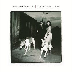 Perfect Fit Chords by Van Morrison