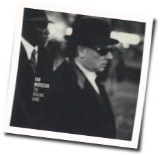 Too Long In Exile Chords by Van Morrison