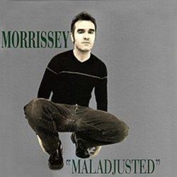 The Edges Are No Longer Parallel by Morrissey