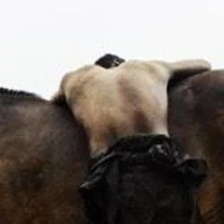 Quarrel Chords by Moses Sumney