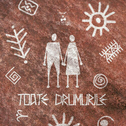Toate Drumurile Chords by The Motans
