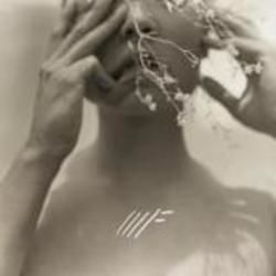 Marigold Chords by Mother Falcon