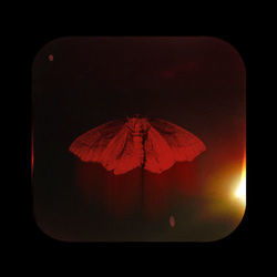 Forgotten Souls Bass Tab by Mother Mother
