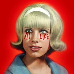 Life Chords by Mother Mother