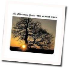 Love Love Love Chords by The Mountain Goats