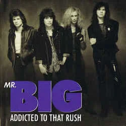 Addicted To That Rush Bass Tab by Mr. Big